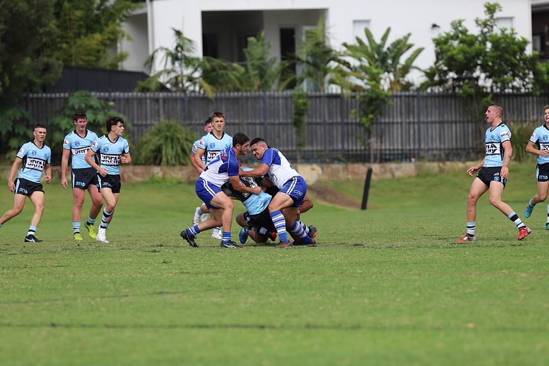 Harold Matthews Cup Rnd 9 BULLDOGS v SHARKS