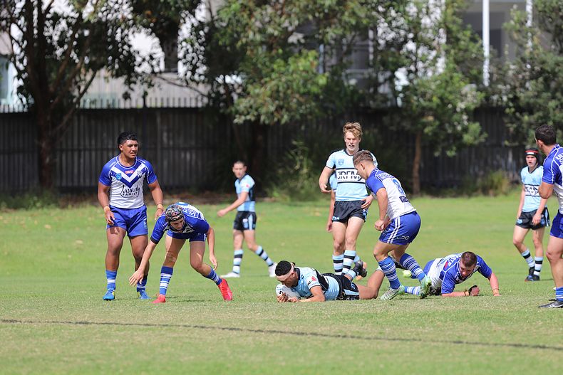 Harold Matthews Cup Rnd 9 BULLDOGS v SHARKS