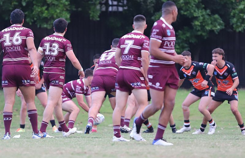 SG Ball Cup Rnd 9 SEAEAGLES v TIGERS