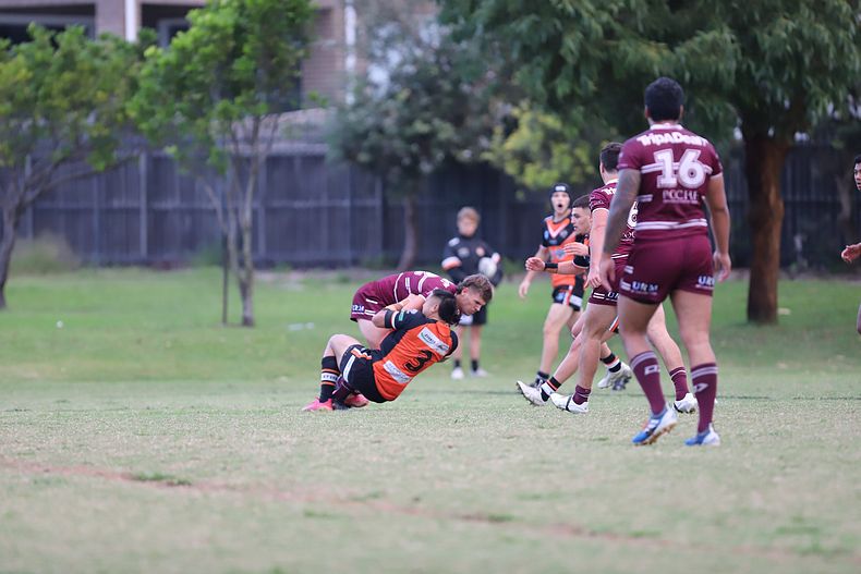 SG Ball Cup Rnd 9 SEAEAGLES v TIGERS
