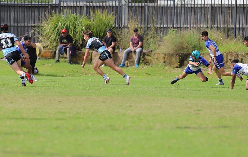 Harold Matthews Cup Rnd 9 BULLDOGS v SHARKS