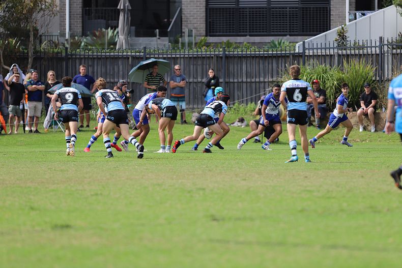 Harold Matthews Cup Rnd 9 BULLDOGS v SHARKS