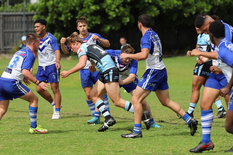 Harold Matthews Cup Rnd 9 BULLDOGS v SHARKS