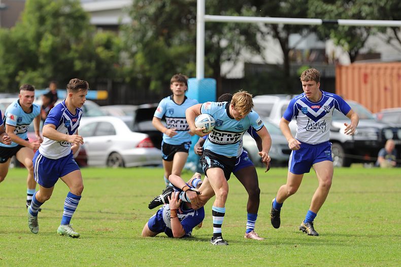 Harold Matthews Cup Rnd 9 BULLDOGS v SHARKS