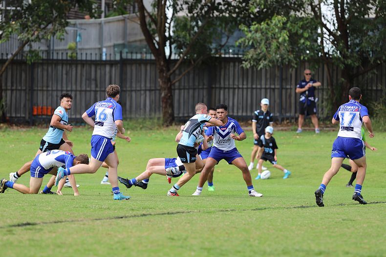Harold Matthews Cup Rnd 9 BULLDOGS v SHARKS