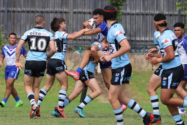 Harold Matthews Cup Rnd 9 BULLDOGS v SHARKS