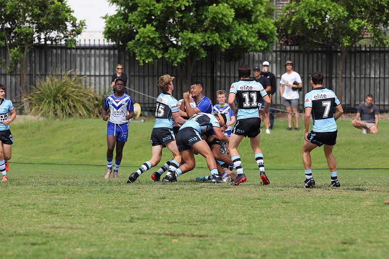 Harold Matthews Cup Rnd 9 BULLDOGS v SHARKS