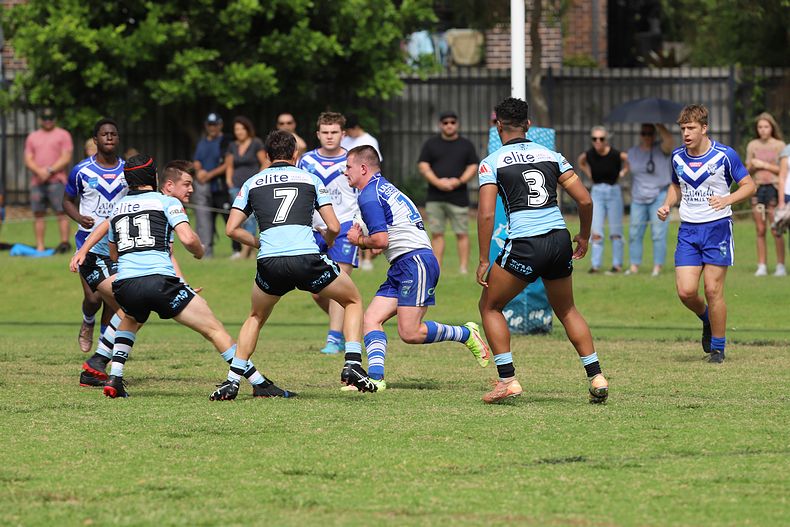 Harold Matthews Cup Rnd 9 BULLDOGS v SHARKS