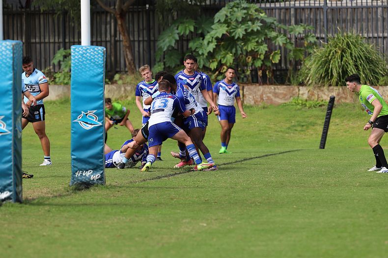 Harold Matthews Cup Rnd 9 BULLDOGS v SHARKS