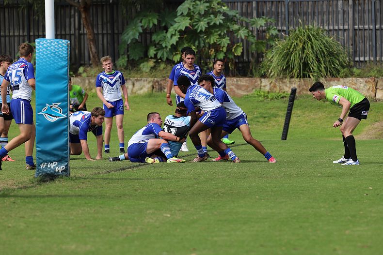 Harold Matthews Cup Rnd 9 BULLDOGS v SHARKS