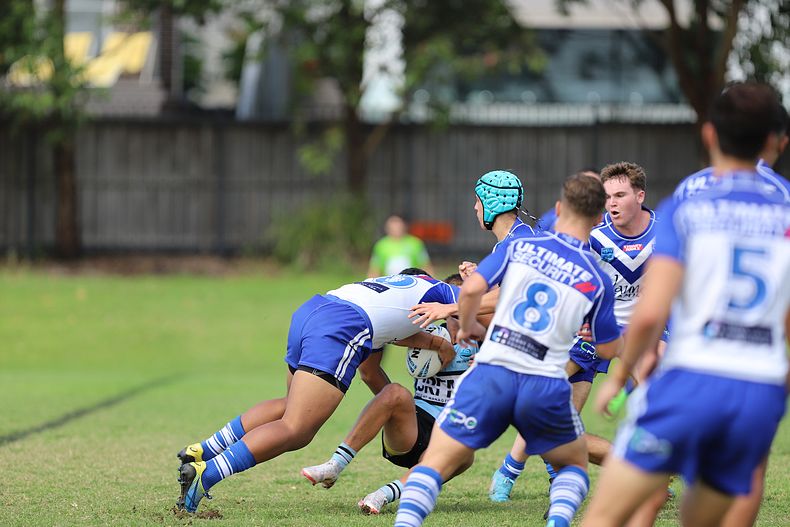 Harold Matthews Cup Rnd 9 BULLDOGS v SHARKS