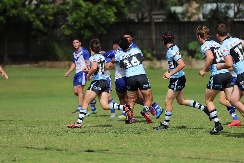 Harold Matthews Cup Rnd 9 BULLDOGS v SHARKS