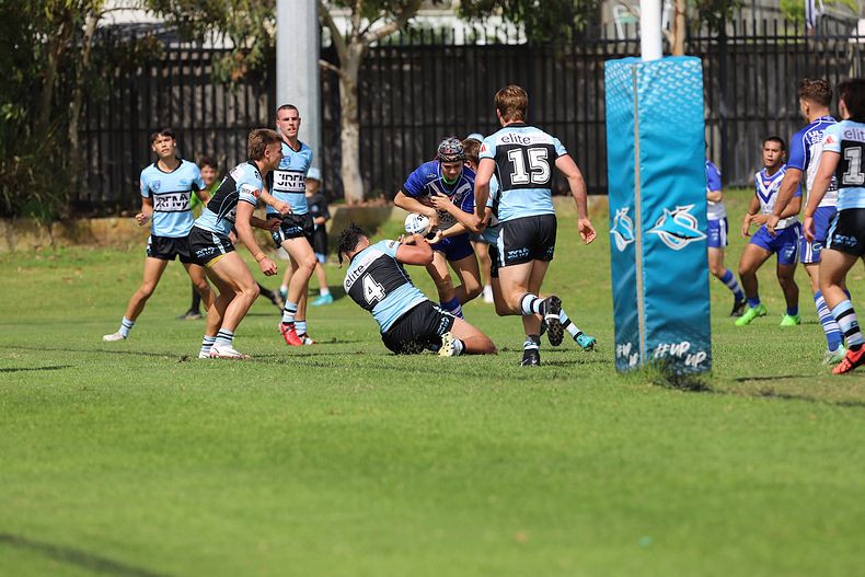 Harold Matthews Cup Rnd 9 BULLDOGS v SHARKS