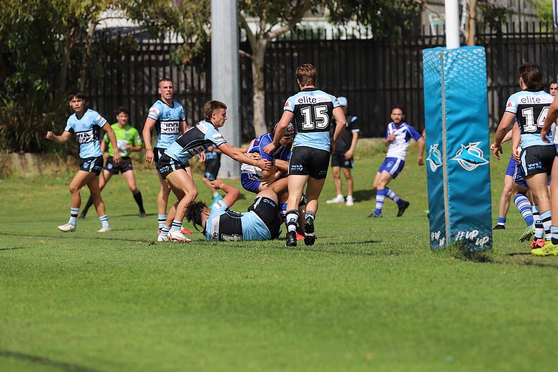 Harold Matthews Cup Rnd 9 BULLDOGS v SHARKS