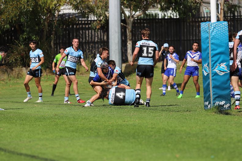 Harold Matthews Cup Rnd 9 BULLDOGS v SHARKS
