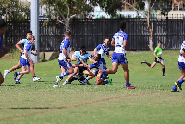 Harold Matthews Cup Rnd 9 BULLDOGS v SHARKS