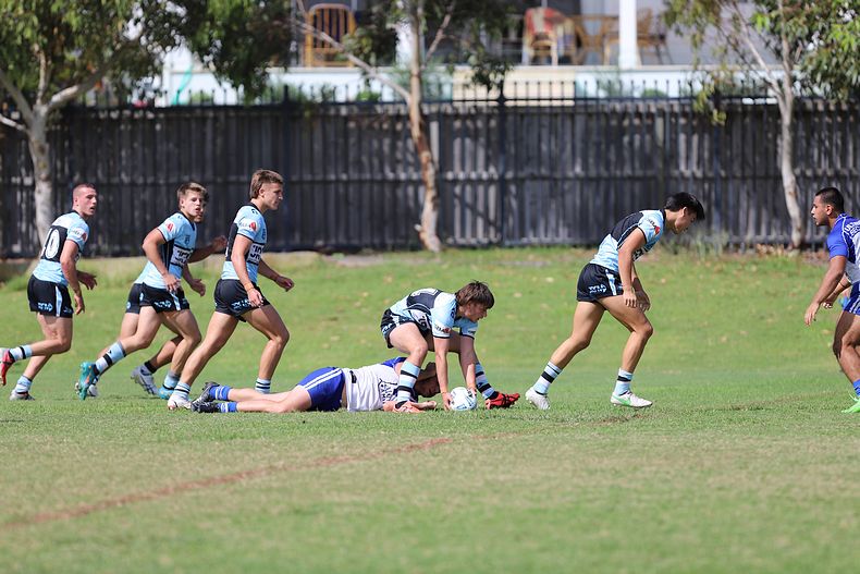 Harold Matthews Cup Rnd 9 BULLDOGS v SHARKS