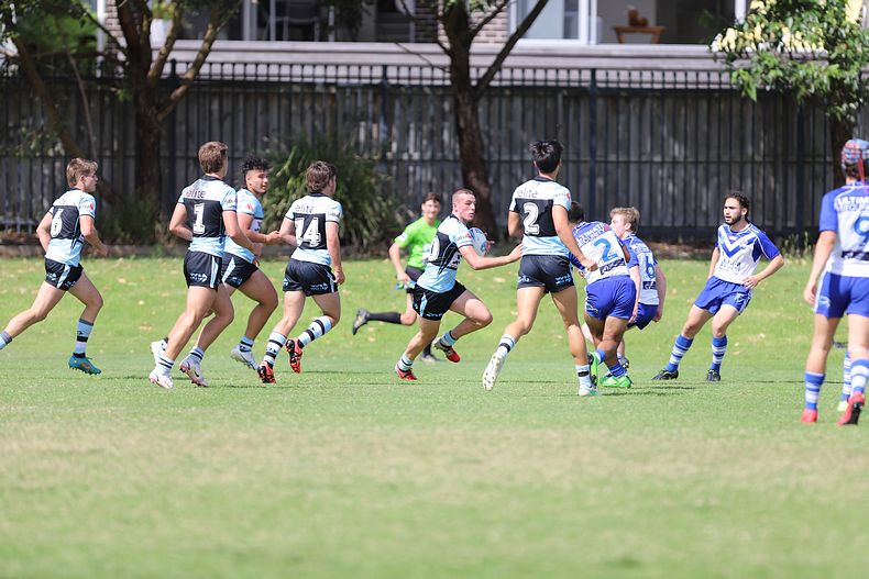 Harold Matthews Cup Rnd 9 BULLDOGS v SHARKS