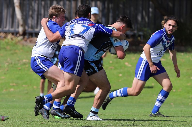 Harold Matthews Cup Rnd 9 BULLDOGS v SHARKS