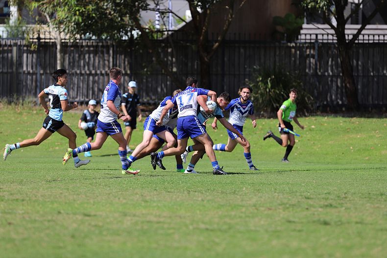 Harold Matthews Cup Rnd 9 BULLDOGS v SHARKS