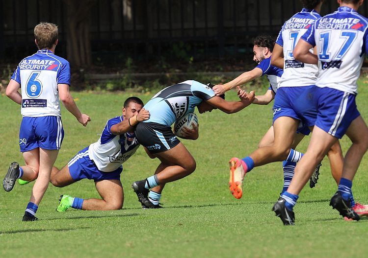 Harold Matthews Cup Rnd 9 BULLDOGS v SHARKS