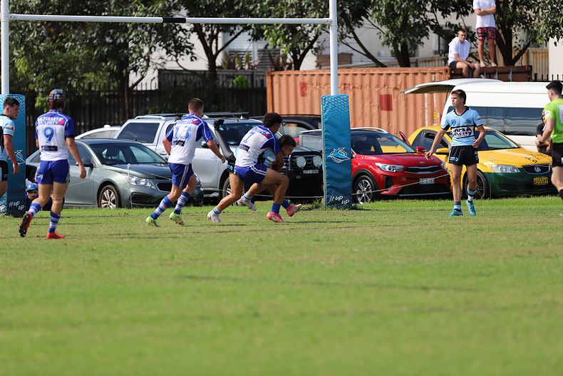 Harold Matthews Cup Rnd 9 BULLDOGS v SHARKS