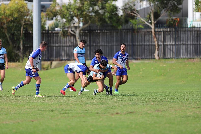 Harold Matthews Cup Rnd 9 BULLDOGS v SHARKS