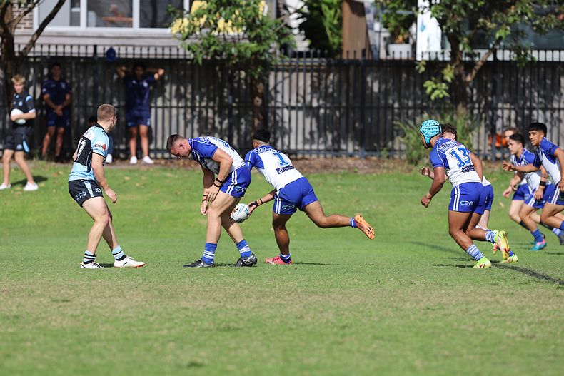 SG Ball Cup Rnd 9 Bulldogs v Sharks