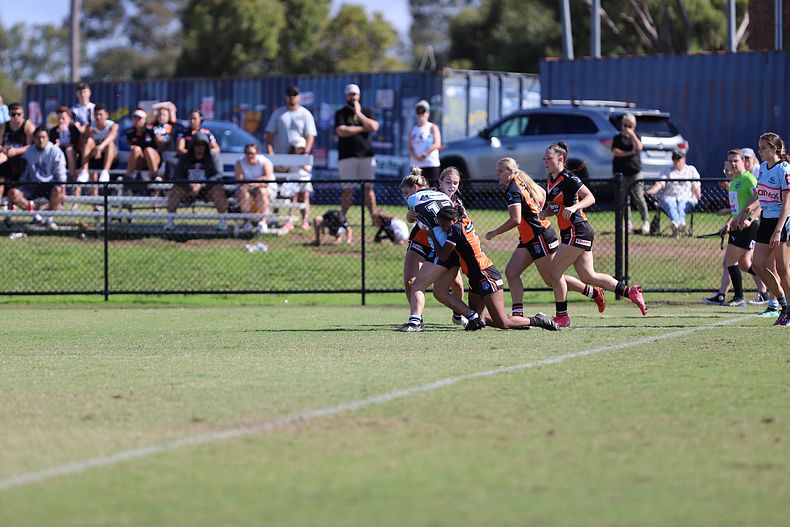 Tarsha Gale Cup Rnd 9 WESTSTIGERS v SHARKS