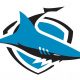 Sharks Winter Academy applications now open