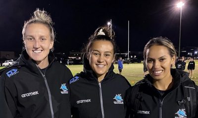 Senior Sharks to guide young talent (Photo : Sharks Media)