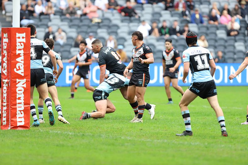 2022 Harold Matthews Cup Grand Final Wests MAGPIES v Cronulla SHARKS