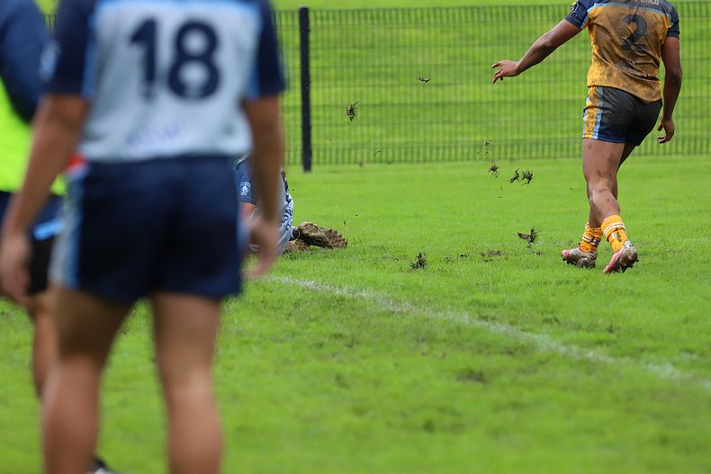 NSWCHS State Trials Day 1 u15’s Sydney GOLD v PRESIDENTS