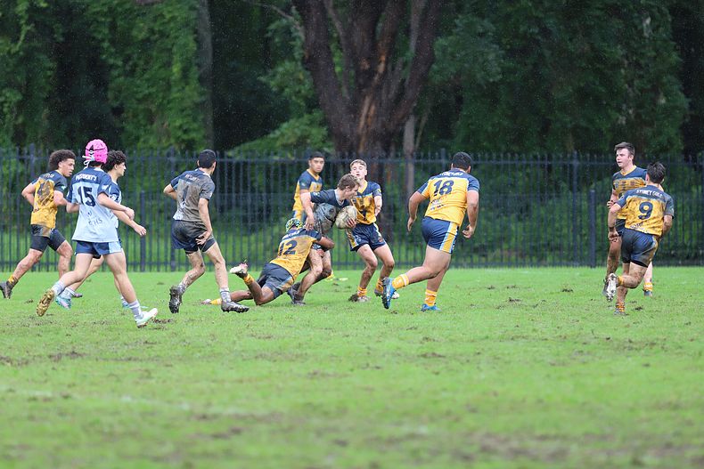 NSWCHS State Trials Day 1 u15’s Sydney GOLD v PRESIDENTS