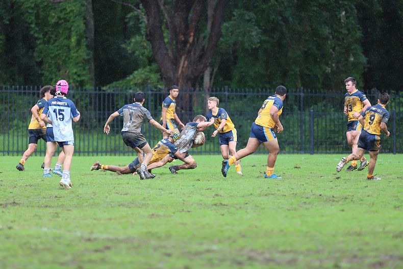 NSWCHS State Trials Day 1 u15’s Sydney GOLD v PRESIDENTS