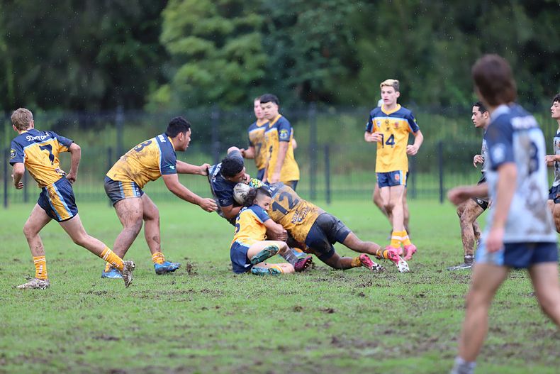 NSWCHS State Trials Day 1 u15’s Sydney GOLD v PRESIDENTS