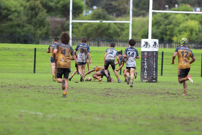 NSWCHS State Trials Day 1 u15’s Sydney GOLD v PRESIDENTS