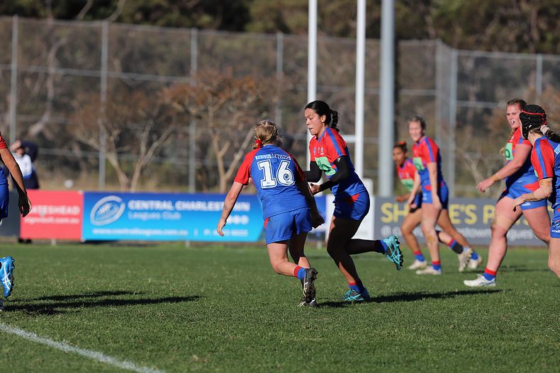 HNWP Rnd 7 Newcastle KNIGHTS v Cronulla SHARKS