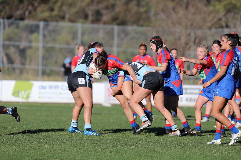 HNWP Rnd 7 Newcastle KNIGHTS v Cronulla SHARKS