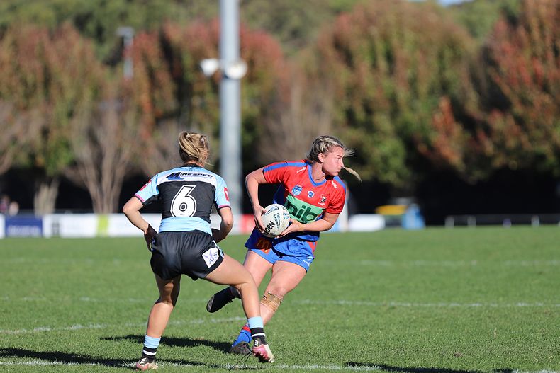 HNWP Rnd 7 Newcastle KNIGHTS v Cronulla SHARKS