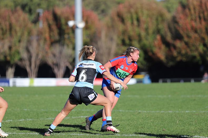 HNWP Rnd 7 Newcastle KNIGHTS v Cronulla SHARKS