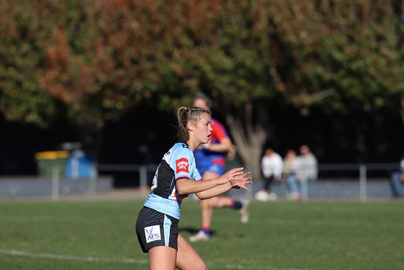 HNWP Rnd 7 Newcastle KNIGHTS v Cronulla SHARKS