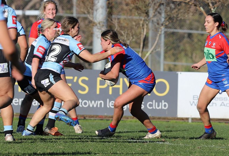 HNWP Rnd 7 Newcastle KNIGHTS v Cronulla SHARKS