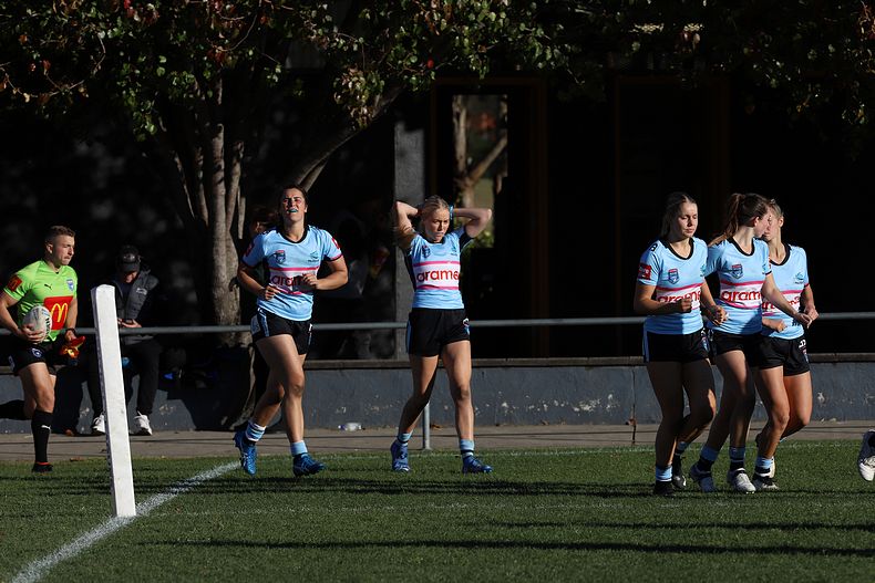 HNWP Rnd 7 Newcastle KNIGHTS v Cronulla SHARKS