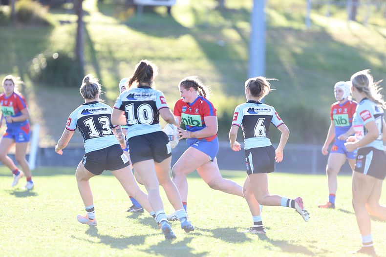 HNWP Rnd 7 Newcastle KNIGHTS v Cronulla SHARKS