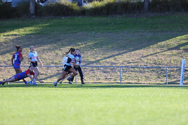 HNWP Rnd 7 Newcastle KNIGHTS v Cronulla SHARKS