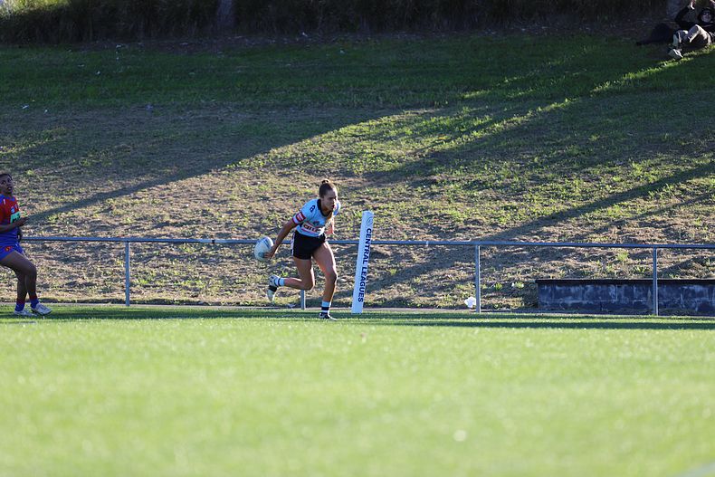 HNWP Rnd 7 Newcastle KNIGHTS v Cronulla SHARKS