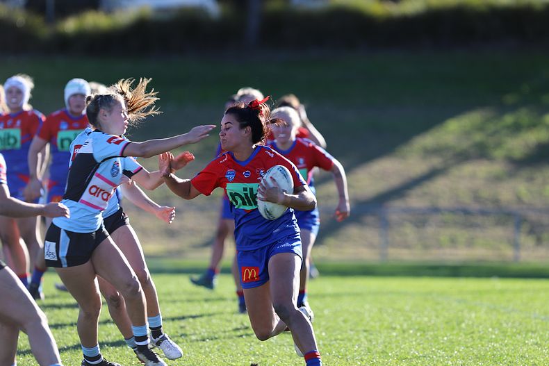 HNWP Rnd 7 Newcastle KNIGHTS v Cronulla SHARKS