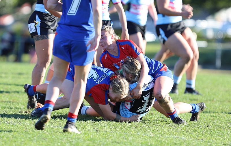 HNWP Rnd 7 Newcastle KNIGHTS v Cronulla SHARKS