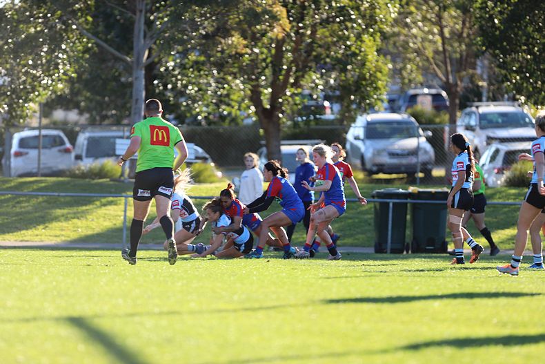 HNWP Rnd 7 Newcastle KNIGHTS v Cronulla SHARKS